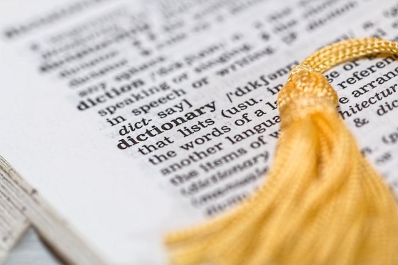 The Science Behind How Dyslexia Affects Word Movement
