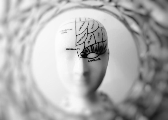 is the left brain for iq