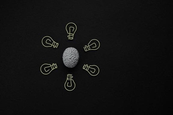 Which is the smartest brain?